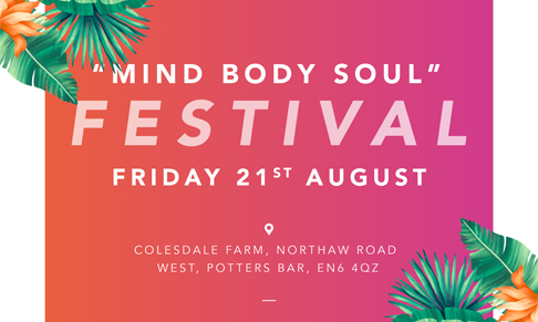 You Got It Girl Collective hosts wellness festival for black women